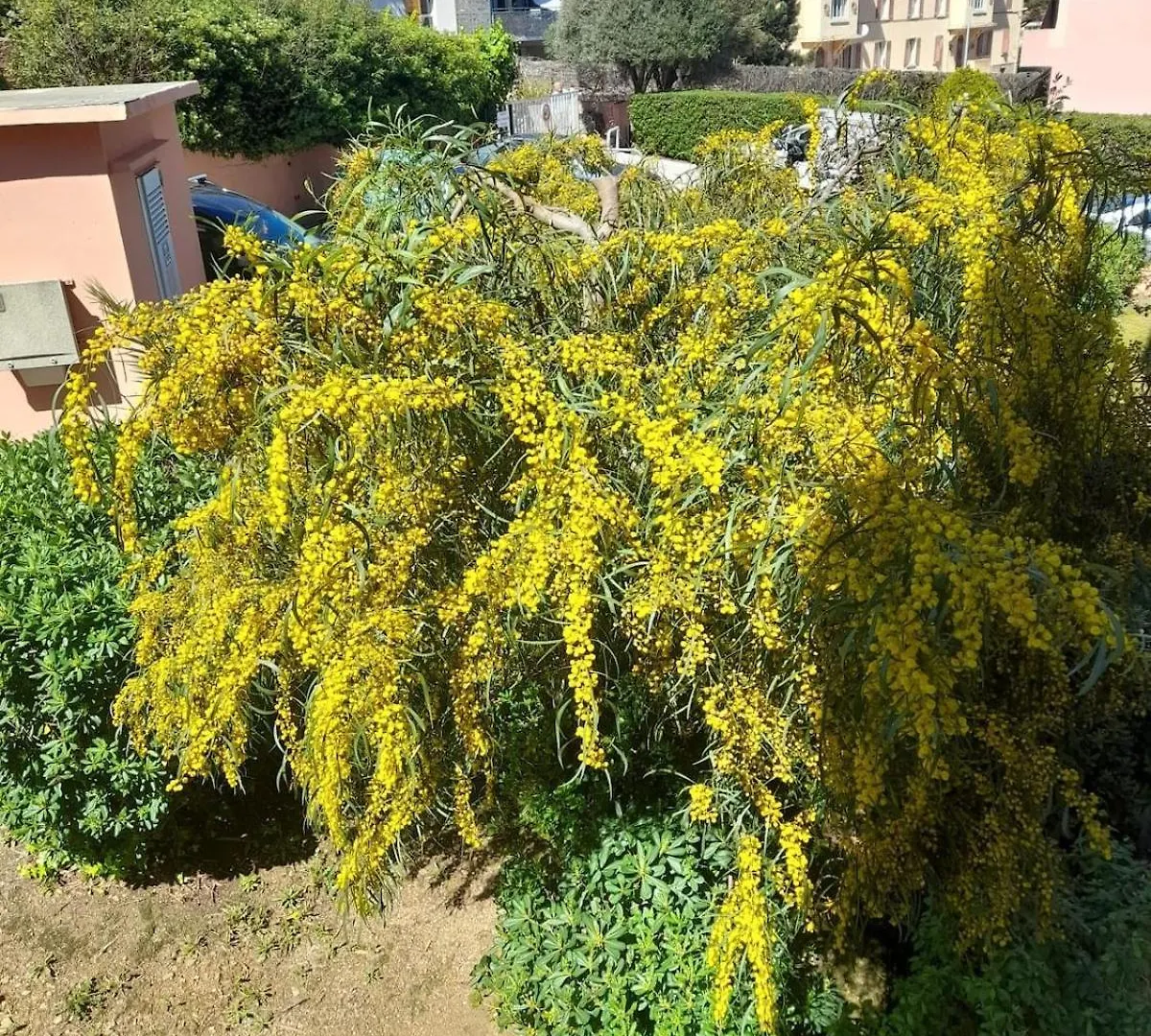 Joli T2 A Giens Apartment Hyeres