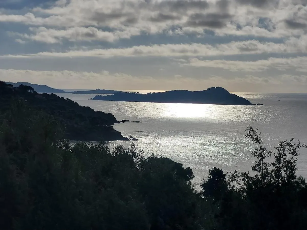 Joli T2 A Giens Apartment Hyeres